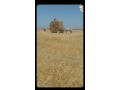 terrain-agriculteur-a-vendre-small-0