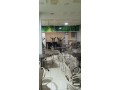 cafe-a-vendre-en-plein-centre-ville-dagadir-small-2