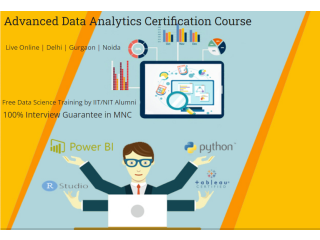 Job Oriented Data Analyst Course in Delhi, 110001. Best Online Live Data Analytics Course in Delhi NCR by IIT