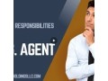 fda-compliance-us-agents-roles-and-responsibilities-small-0