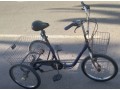 tricycle-trike-small-0