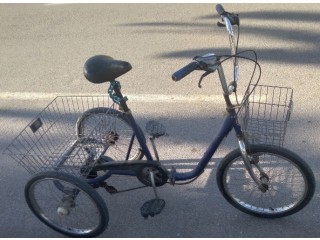 Tricycle trike