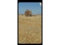 ard-flahy-noahy-sdy-aalal-altazy-small-1